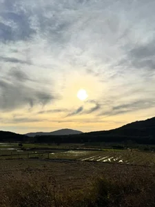 Conquering Chu Nam: Hoang Thuy's 8-Hour Trek to the 'Roof of Pleiku' - image 3