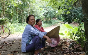 The Sacred Forest: How a Small Village Protects Its Living Treasure - image 5