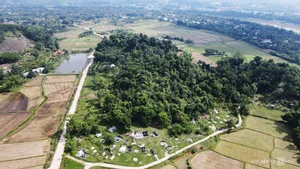 The Sacred Forest: How a Small Village Protects Its Living Treasure - image 10