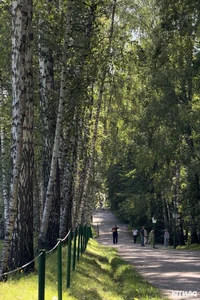 Exploring Tula: Russia's Historic City of Arms and Military Industry Near the Frontline - image 6