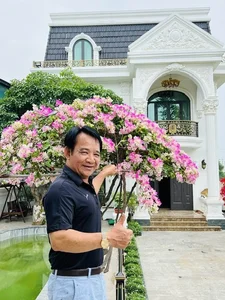 Inside Artist Quang Teo's Stunning 1,000m2 Castle-Like Garden House - image 5