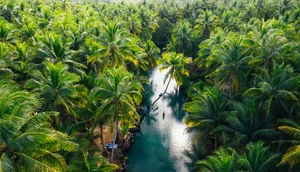 Surprising Facts About the Philippines: A Land of 7,641 Islands - image 10