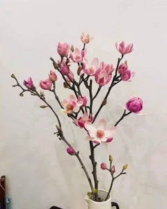 Luxurious Magnolia Flowers Become the Top Trending Decor for Tet 2025 - image 8