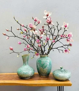 Luxurious Magnolia Flowers Become the Top Trending Decor for Tet 2025 - image 0