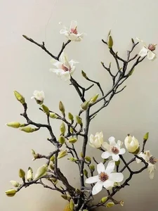 Luxurious Magnolia Flowers Become the Top Trending Decor for Tet 2025 - image 5