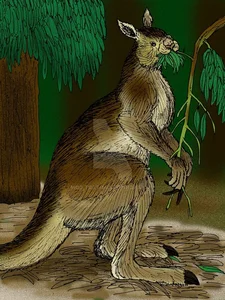 A Look at Animals Driven to Extinction by Human Impact - image 9