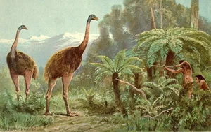 A Look at Animals Driven to Extinction by Human Impact - image 6