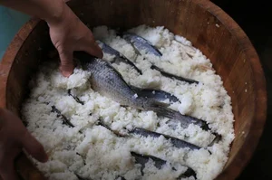 The Pungent Delight of Japan: Exploring the Unique Flavors of 'Stinky' Specialties - image 5