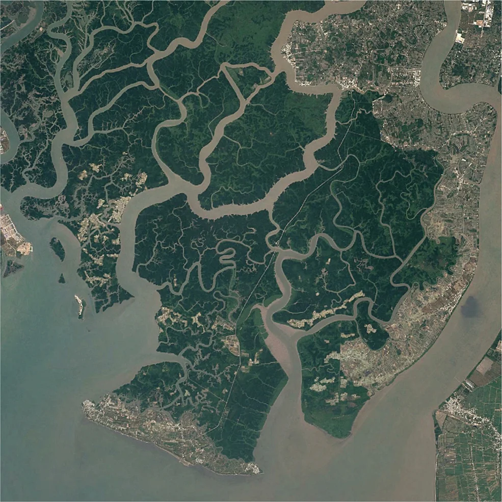 Life Among the Mangroves: Dedicated Guardians of the Can Gio Biosphere Reserve