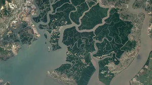 Life Among the Mangroves: Dedicated Guardians of the Can Gio Biosphere Reserve - image 11