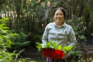 Life Among the Mangroves: Dedicated Guardians of the Can Gio Biosphere Reserve - image 2