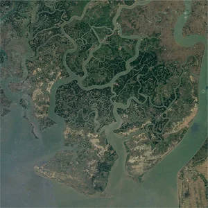 Life Among the Mangroves: Dedicated Guardians of the Can Gio Biosphere Reserve - image 15