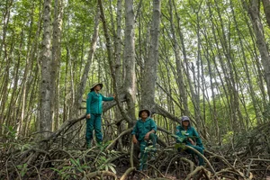 Life Among the Mangroves: Dedicated Guardians of the Can Gio Biosphere Reserve - image 13
