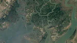 Life Among the Mangroves: Dedicated Guardians of the Can Gio Biosphere Reserve - image 22