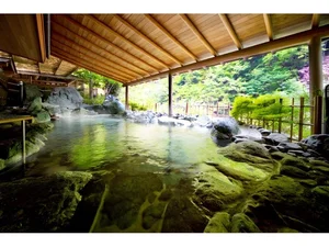 Nishiyama Onsen Keiunkan: The World's Oldest Hotel with 1,321 Years of History - image 4