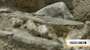 Mystery of the 3-Million-Year-Old Stone Tool Found in the Cradle of Humankind - image 3