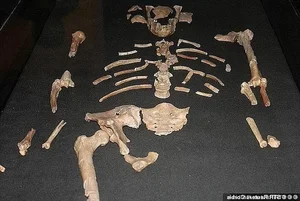 Mystery of the 3-Million-Year-Old Stone Tool Found in the Cradle of Humankind - image 0