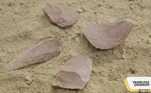 Mystery of the 3-Million-Year-Old Stone Tool Found in the Cradle of Humankind - image 2