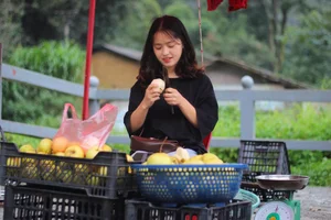 From Street Vendor to Star: Where is the 'Pear Girl' Now After 8 Years? - image 0