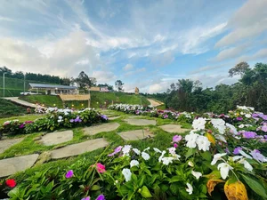 Inside Artist Hoang Map’s Massive 10,000m2 Garden Estate in Di Linh - image 1