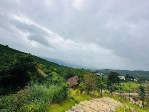 Inside Artist Hoang Map’s Massive 10,000m2 Garden Estate in Di Linh - image 6