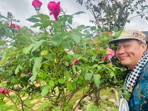 Inside Artist Hoang Map’s Massive 10,000m2 Garden Estate in Di Linh - image 0