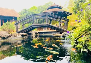 Inside Artist Hoang Map’s Massive 10,000m2 Garden Estate in Di Linh - image 10