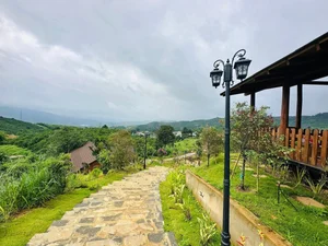 Inside Artist Hoang Map’s Massive 10,000m2 Garden Estate in Di Linh - image 12