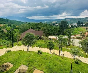Inside Artist Hoang Map’s Massive 10,000m2 Garden Estate in Di Linh - image 11