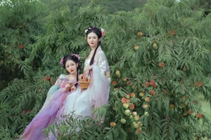 YiTuYu Art Language Vol.4463: Discover the Timeless Elegance of Yin Yue in This Exclusive Photography Series - image 22