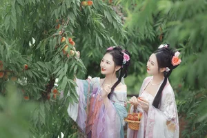 YiTuYu Art Language Vol.4463: Discover the Timeless Elegance of Yin Yue in This Exclusive Photography Series - image 19