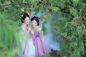 YiTuYu Art Language Vol.4463: Discover the Timeless Elegance of Yin Yue in This Exclusive Photography Series - image 21