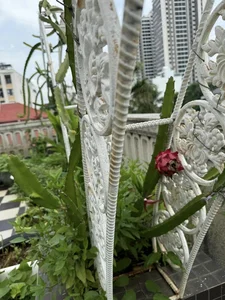 Inside the Palatial Villa of Miss Giang My: A Masterpiece of Luxury - image 4