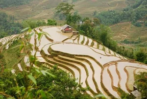 Discover Y Ty Watering Season: Comparing Vietravel and Vietnam Booking for Your Northern Vietnam Adventure - image 3