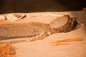 Exploring the Extreme Wonders of the Driest Places on Earth - image 6