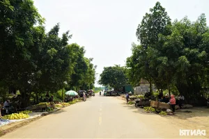 A Unique Marketplace: The Exclusive Fair Dedicated to 'The First Fruit' - image 2