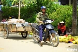 A Unique Marketplace: The Exclusive Fair Dedicated to 'The First Fruit' - image 4