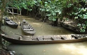 Chilling Mystery of Couple Found Dead in a Burned House - image 1