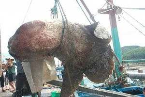 Bizarre and Terrifying Creatures Discovered in Vietnam's Wilds - image 6