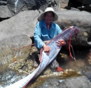 Bizarre and Terrifying Creatures Discovered in Vietnam's Wilds - image 5