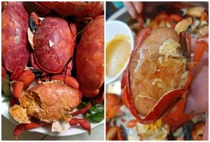 The 'Vietnamese King Crab' Phenomenon in Quang Ninh: Delicious, Affordable, and Trending - image 1