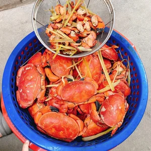 The 'Vietnamese King Crab' Phenomenon in Quang Ninh: Delicious, Affordable, and Trending - image 7