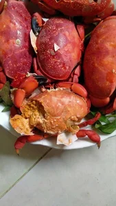 The 'Vietnamese King Crab' Phenomenon in Quang Ninh: Delicious, Affordable, and Trending - image 8