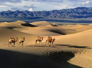Uncovering the Priceless Treasures Hidden Within Asia's Largest Deserts - image 3