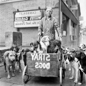 Fascinating Historical Photos Uncovering Surprising Truths About Our Shared Past - image 5