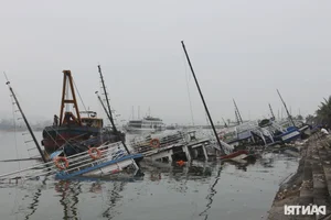 Tuan Chau Dolphin Performance Stage Devastated by Typhoon Yagi - image 6