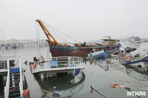 Tuan Chau Dolphin Performance Stage Devastated by Typhoon Yagi - image 0
