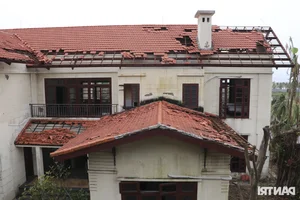 Tuan Chau Dolphin Performance Stage Devastated by Typhoon Yagi - image 4