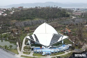 Tuan Chau Dolphin Performance Stage Devastated by Typhoon Yagi - image 1
