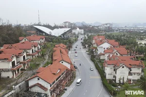 Tuan Chau Dolphin Performance Stage Devastated by Typhoon Yagi - image 5
